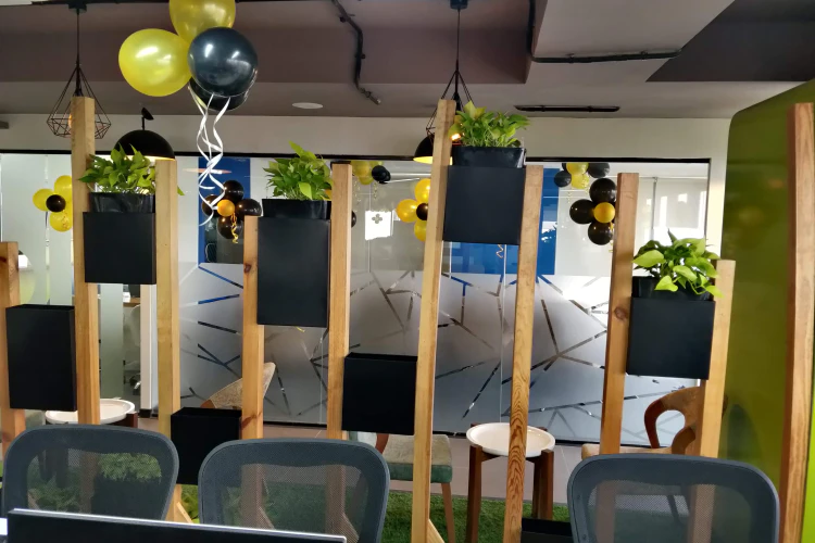 10th Anniversary Celebration